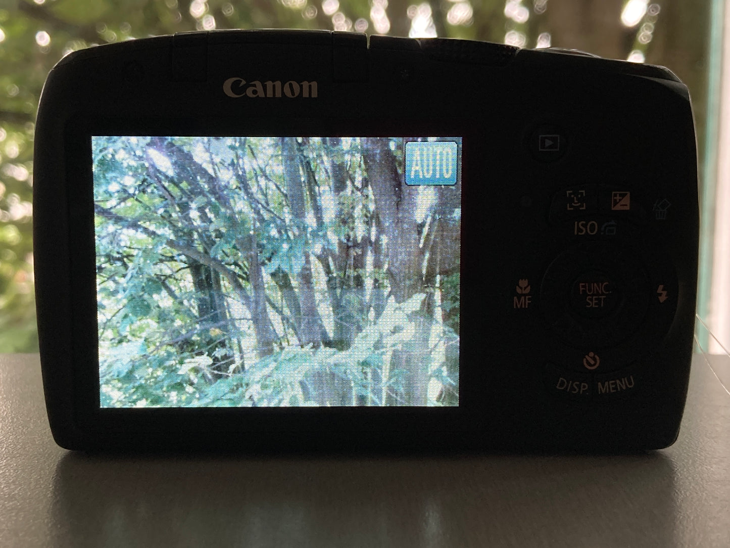 Canon PowerShot SX120 IS
